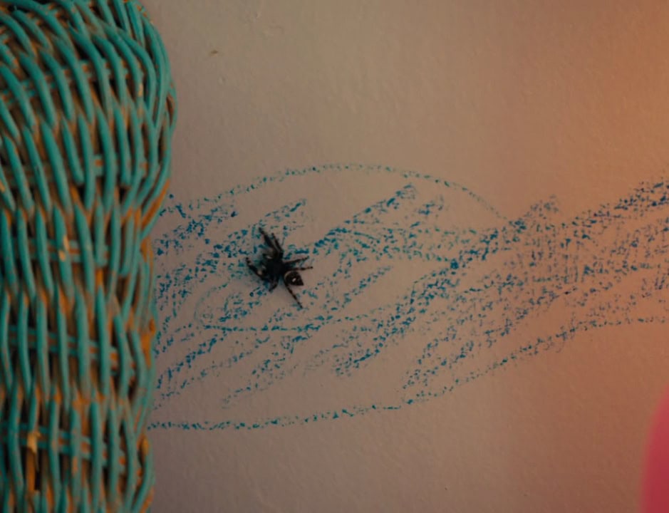 Close-up of a spider crawling across a pale pink wall, with turquoise basket weave and drawn blue crayon lines in the background.
